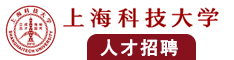 大鸡巴操骚屄流水在线观看