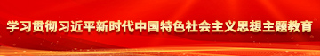 艹逼口交学习贯彻习近平新时代中国特色社会主义思想主题教育